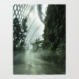 Cloud Forest V Poster