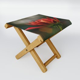 Cooper Blaine Dahlia In Red Folding Stool