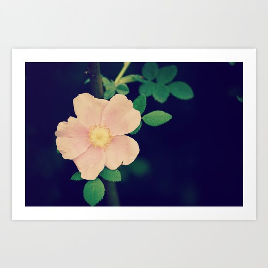 Perfectly Pretty Art Print