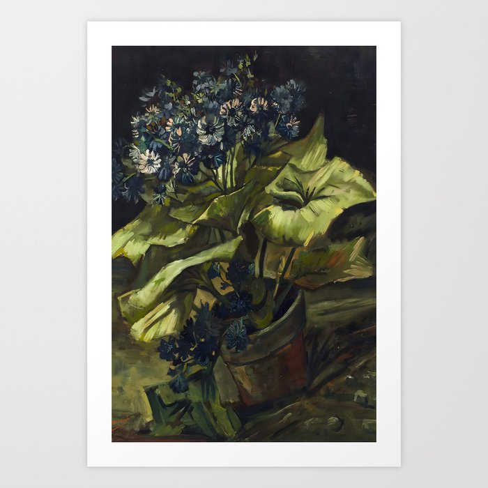 Cineraria-Vincent van Gogh Art Print