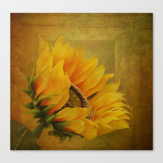 Sunflower Magic Canvas Print
