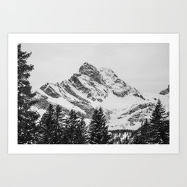black and white like forest and snow Art Print