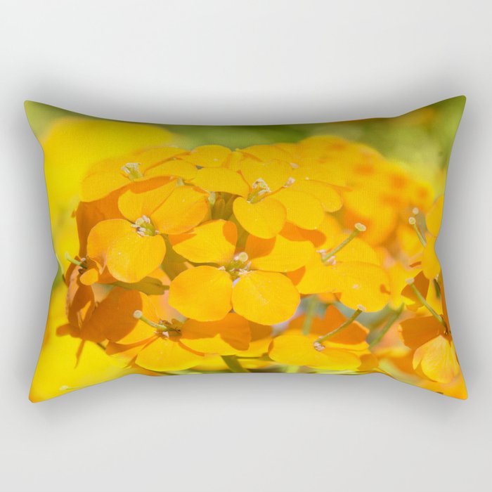 Orange Delight Rectangular Pillow