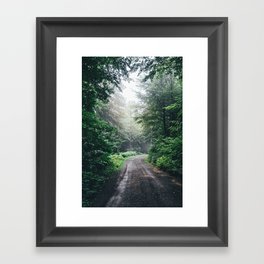 Mist Forest Photo Print | Fog Woods Photography | Mysterious Forest Path Framed Art Print
