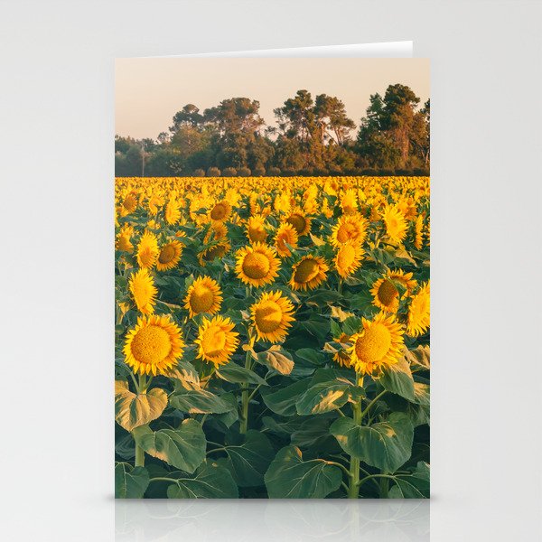 Summer Flowers Stationery Cards