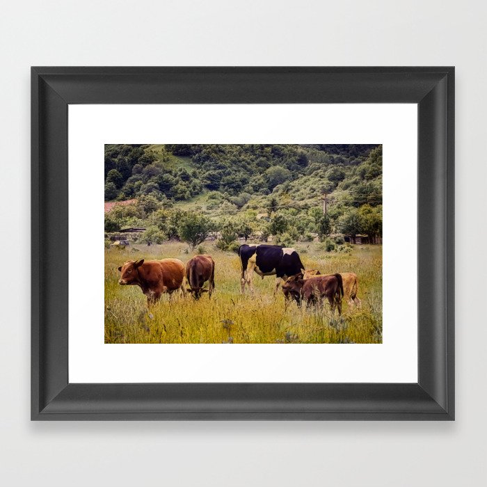 Vintage cottagecore cow pasture in the mountains Framed Art Print