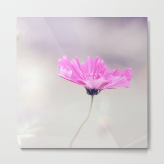 Cotton candy cosmo Metal Print