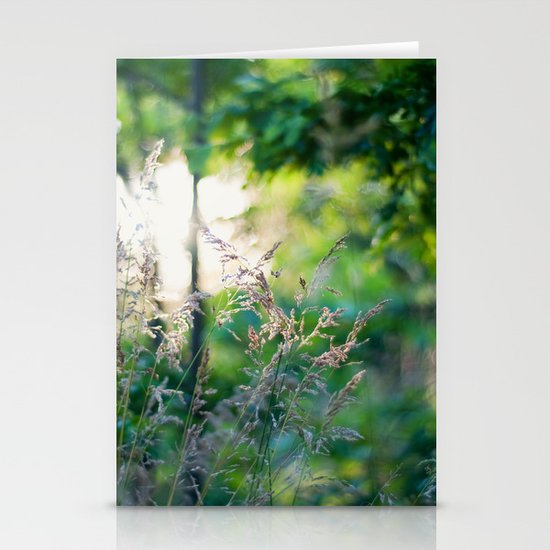 Summer Light Stationery Cards