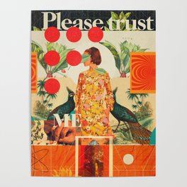 Please Trust Me Poster
