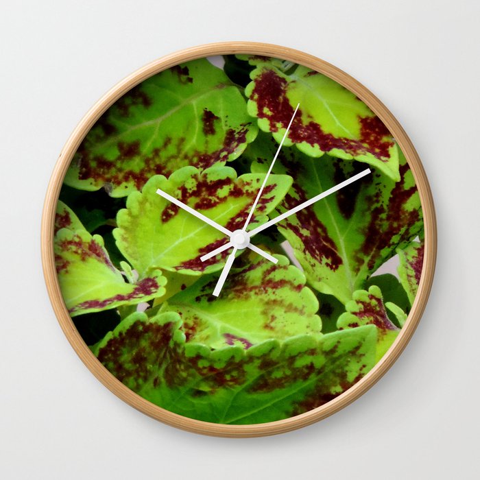 Coleus plants#2 Wall Clock