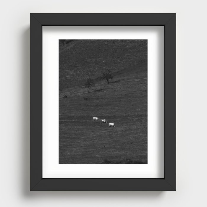 Three Horses Recessed Framed Print