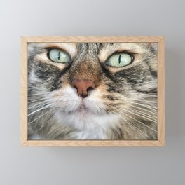 Cat Framed Mini Art Print