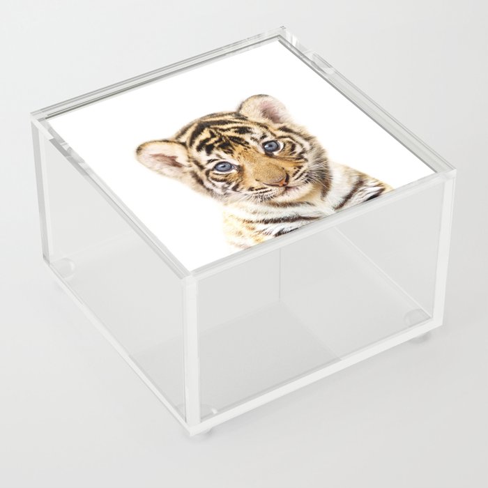 Baby Tiger, Safari, Jungle Animals, Kids Art, Baby Animals Art Print By Synplus Acrylic Box
