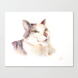 Smiling Cat Canvas Print