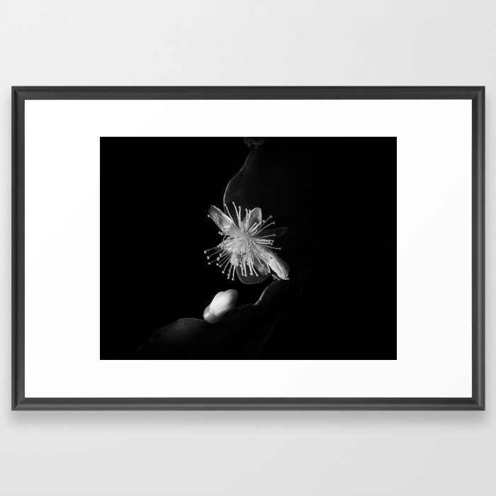 Minimalistic Black and white photography of a cactus flower Framed Art Print