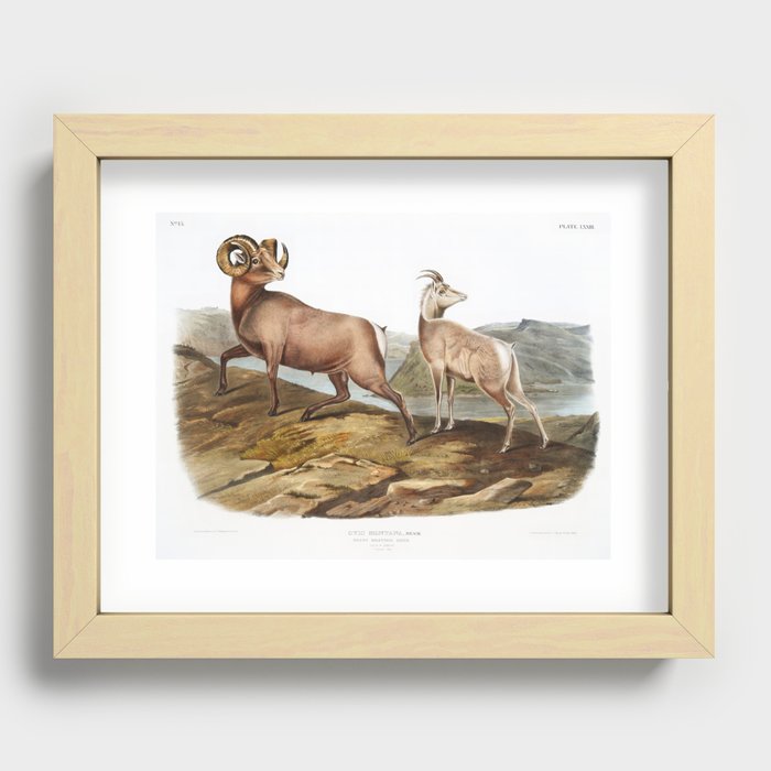 Recessed Framed Print