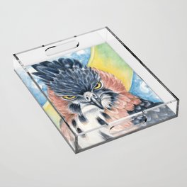 Ornate Hawk Eagle Raptor Watercolor Art Acrylic Tray