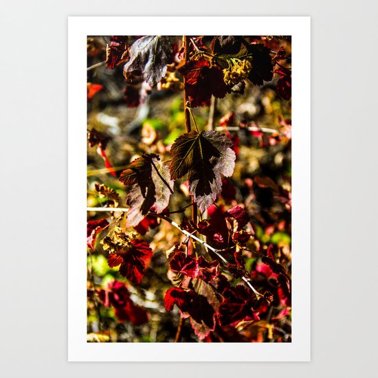 Changing seasons Art Print