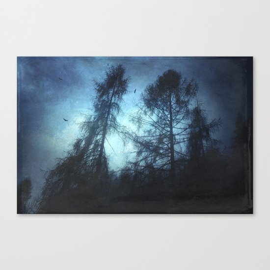 dark knights Canvas Print