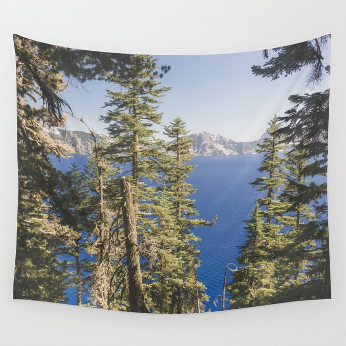Cabin At The Lake Wall Tapestry By Cascadia Society6