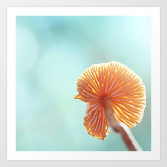 Tiny Tropical Cricket Canopy Art Print