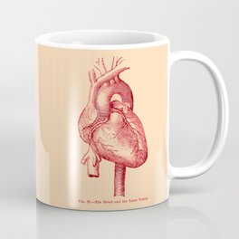 The Human Heart Coffee Mug | Anatomytextbook, Humananatomy, Drawing, Vintage, Heart, Biology, Science, Medicaldrawing, Anatomy, Medstudent 