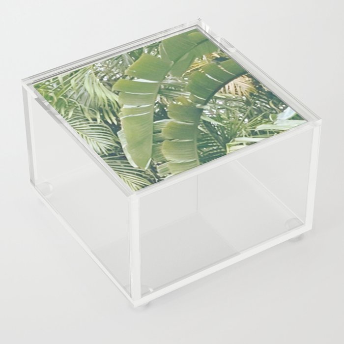 Green spring  Acrylic Box