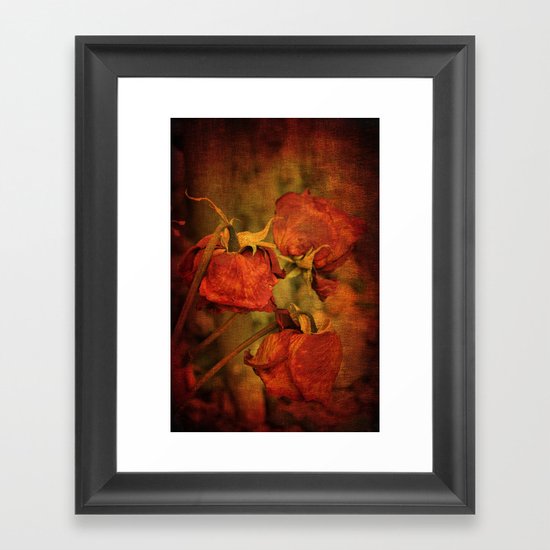 Three Roses Framed Art Print