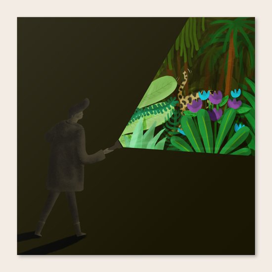 Nocturnal Canvas Print
