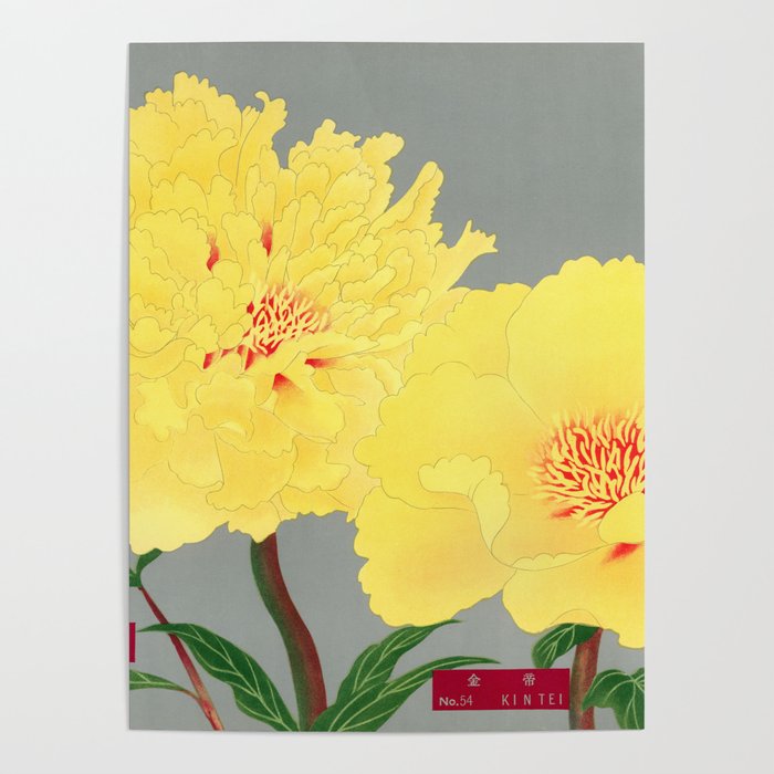 Vintage Yellow Japanese Peony Flowers Painting ,Botanical Floral Blossom Poster