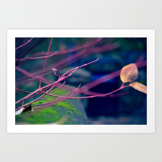 Twigs Art Print