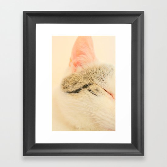 Peachy Kitty Framed Art Print