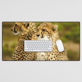 South Africa Photography - Two Baby Gepards On The African Savannah Desk Mat
