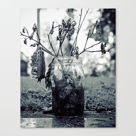 Wilting beauty Canvas Print