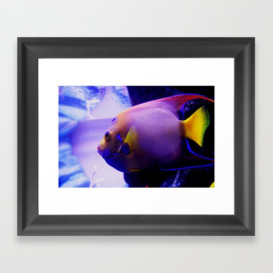 Not for fishing Framed Art Print