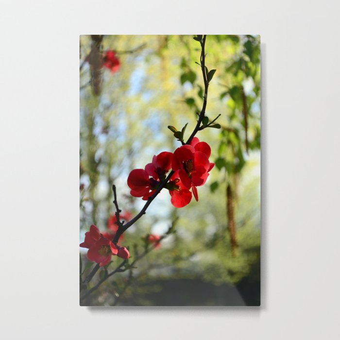 Bold Red Flower Metal Print