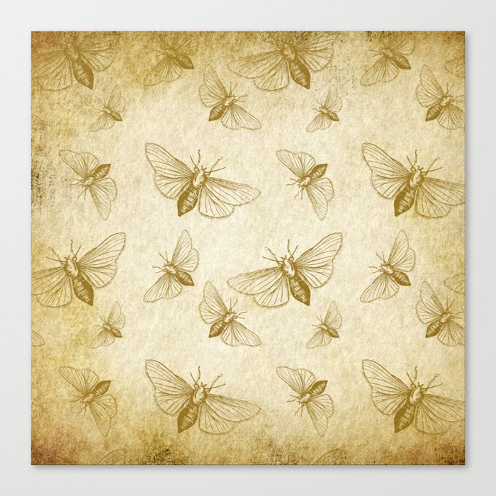 insect pattern / full pattern / butterfly love Canvas Print