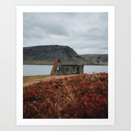 Westfjords Sheep Shed in Iceland Art Print