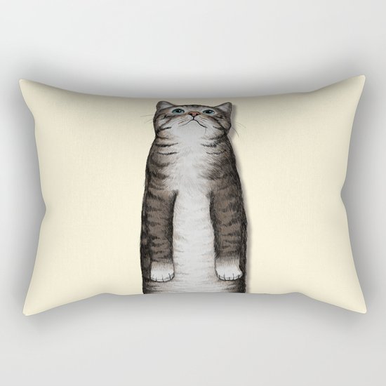 Look Rectangular Pillow