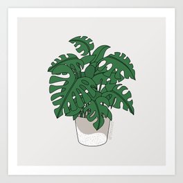 Monstera House Plant Art Print
