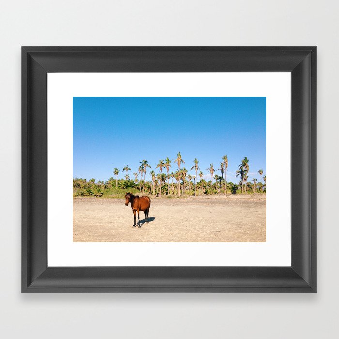 Framed Art Print