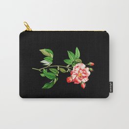 Rosa Gallica Versicolor Black Carry-All Pouch | Vintagerose, Roses, Rosagallica, Varicoloredrose, Painting 