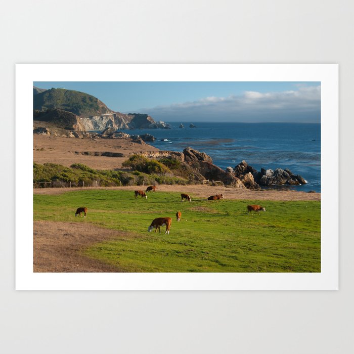 Cows on Cliffs Art Print