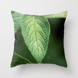 Textured Sage Leaf Throw Pillow