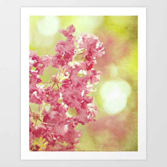 Crape Myrtle Art Print