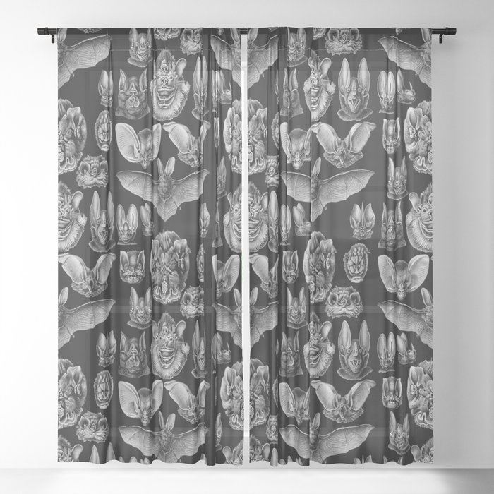 1904 Haeckel Chiroptera Sheer Curtain