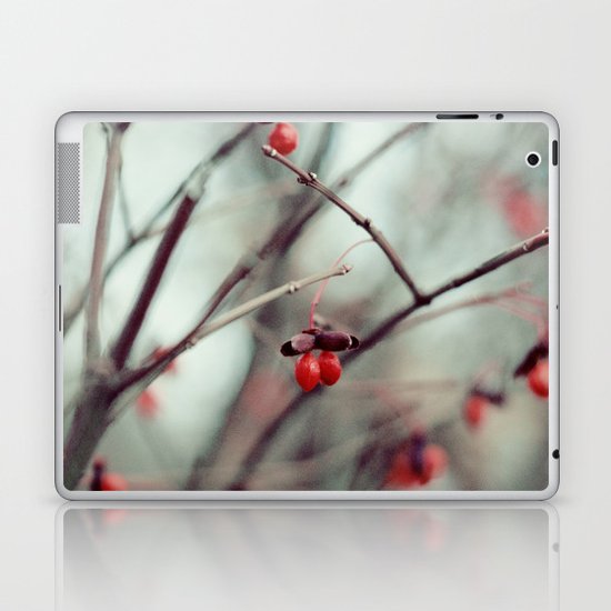 December Dream Laptop & iPad Skin