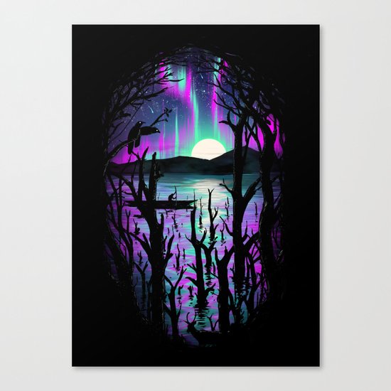 Night With Aurora Canvas Print