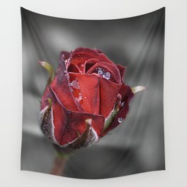 Red Rose with raindrops, Portland Rose, Blooming Rose Wall Tapestry