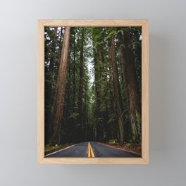 The Road to Wisdom - Nature Photography Framed Mini Art Print